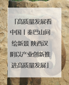 高质量发展看中国丨秦巴山间绘新景 陕西汉阴以产业创新推进高质量发展