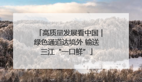 高质量发展看中国｜绿色通道达境外 输送三江“一口鲜”