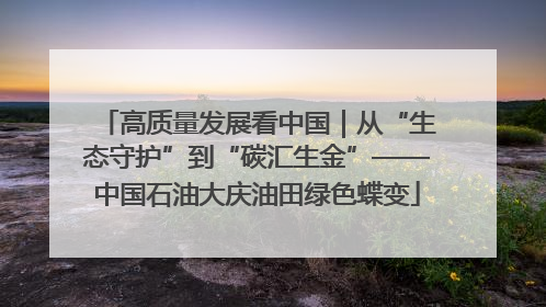 高质量发展看中国｜从“生态守护”到“碳汇生金”——中国石油大庆油田绿色蝶变