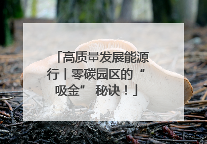 高质量发展能源行丨零碳园区的“吸金” 秘诀！