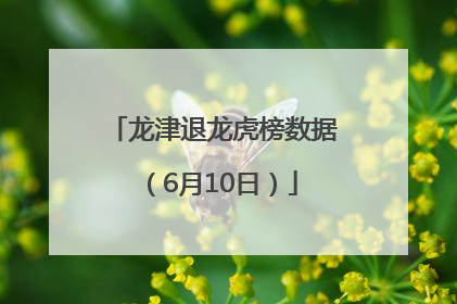 龙津退龙虎榜数据（6月10日）