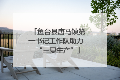 鱼台县唐马镇第一书记工作队助力“三夏生产”