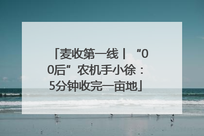 麦收第一线丨“00后”农机手小徐：5分钟收完一亩地