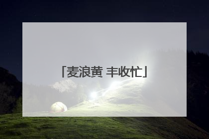 麦浪黄 丰收忙