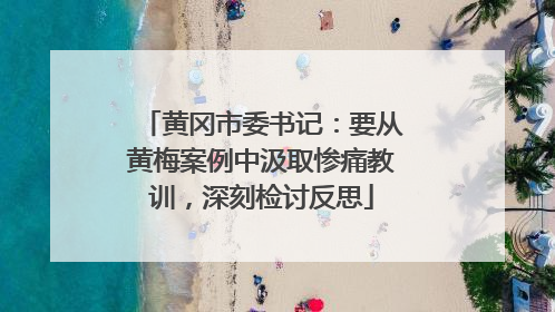 黄冈市委书记：要从黄梅案例中汲取惨痛教训，深刻检讨反思