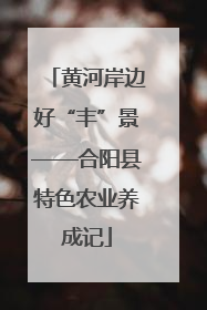 黄河岸边好“丰”景——合阳县特色农业养成记
