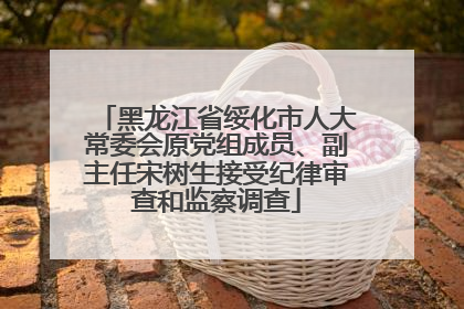 黑龙江省绥化市人大常委会原党组成员、副主任宋树生接受纪律审查和监察调查