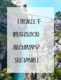 黑龙江千鹤岛首次发现自然界罕见白鸬鹚