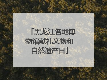 黑龙江各地博物馆献礼文物和自然遗产日