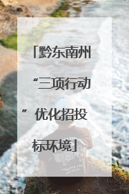 黔东南州“三项行动”优化招投标环境