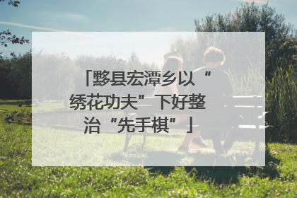黟县宏潭乡以“绣花功夫”下好整治“先手棋”