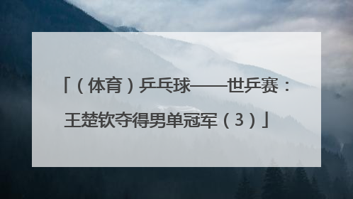 （体育）乒乓球——世乒赛：王楚钦夺得男单冠军（3）