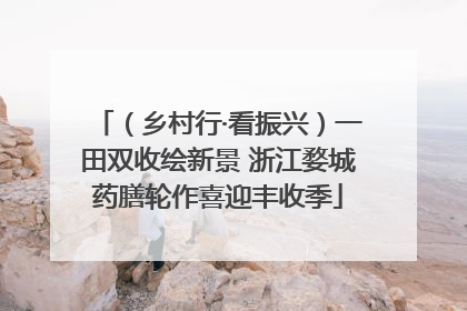（乡村行·看振兴）一田双收绘新景 浙江婺城药膳轮作喜迎丰收季