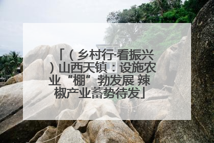 （乡村行·看振兴）山西天镇：设施农业“棚”勃发展 辣椒产业蓄势待发