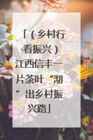 （乡村行·看振兴）江西信丰一片茶叶“沏”出乡村振兴路