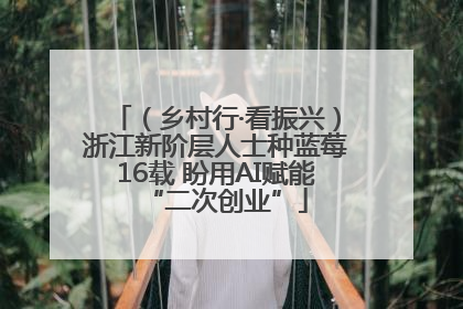 （乡村行·看振兴）浙江新阶层人士种蓝莓16载 盼用AI赋能“二次创业”
