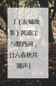 （友城故事）黄浦江与默西河，廿六春秋共潮声