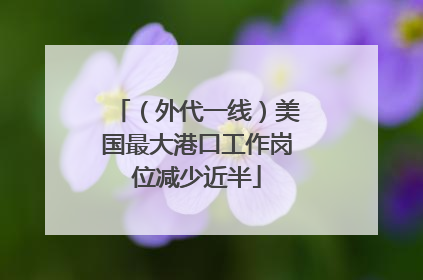 （外代一线）美国最大港口工作岗位减少近半