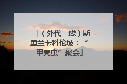 （外代一线）斯里兰卡科伦坡：“甲壳虫”聚会