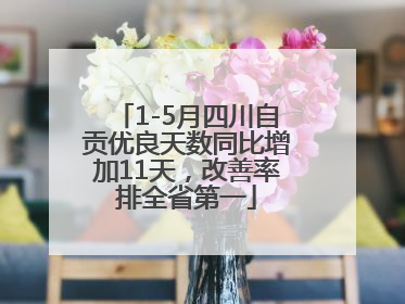 1-5月四川自贡优良天数同比增加11天，改善率排全省第一