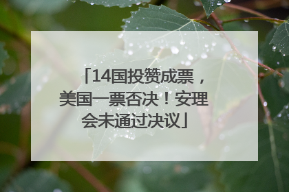 14国投赞成票，美国一票否决！安理会未通过决议