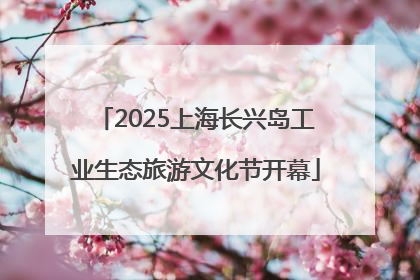 2025上海长兴岛工业生态旅游文化节开幕