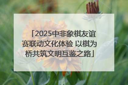 2025中非象棋友谊赛联动文化体验 以棋为桥共筑文明互鉴之路