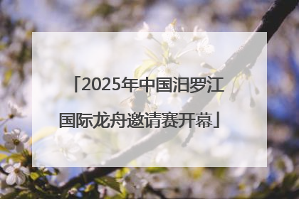 2025年中国汨罗江国际龙舟邀请赛开幕