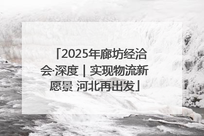 2025年廊坊经洽会·深度｜实现物流新愿景 河北再出发