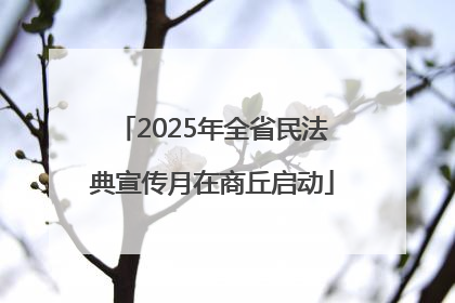 2025年全省民法典宣传月在商丘启动