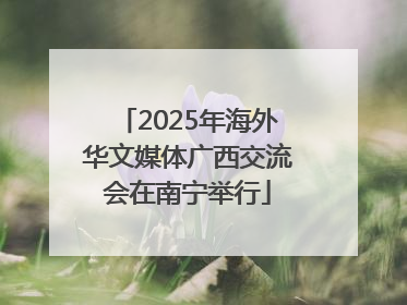 2025年海外华文媒体广西交流会在南宁举行