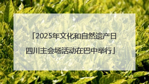 2025年文化和自然遗产日四川主会场活动在巴中举行