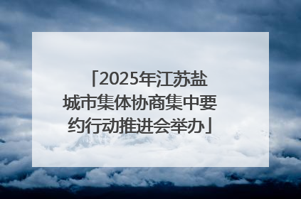 2025年江苏盐城市集体协商集中要约行动推进会举办