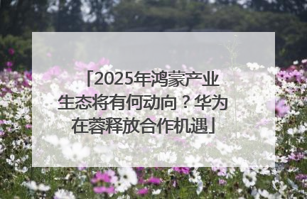2025年鸿蒙产业生态将有何动向？华为在蓉释放合作机遇
