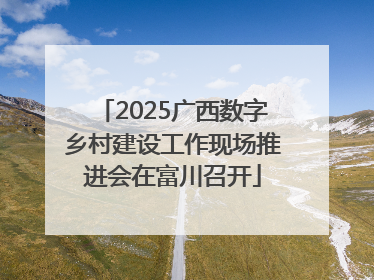 2025广西数字乡村建设工作现场推进会在富川召开