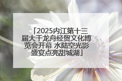2025内江第十三届大千龙舟经贸文化博览会开幕 水陆空光影盛宴点亮甜城湖