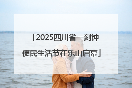 2025四川省一刻钟便民生活节在乐山启幕