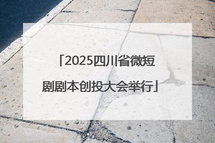 2025四川省微短剧剧本创投大会举行