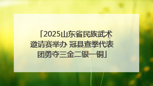 2025山东省民族武术邀请赛举办 冠县查拳代表团勇夺三金二银一铜