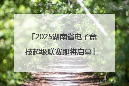 2025湖南省电子竞技超级联赛即将启幕