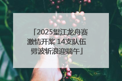2025望江龙舟赛激情开桨 14支队伍劈波斩浪迎端午
