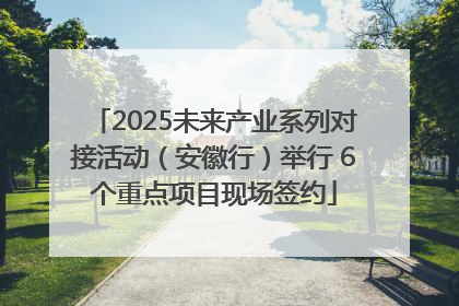 2025未来产业系列对接活动（安徽行）举行 6个重点项目现场签约