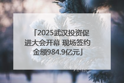 2025武汉投资促进大会开幕 现场签约金额984.9亿元