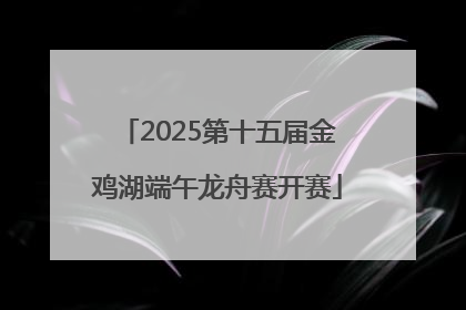 2025第十五届金鸡湖端午龙舟赛开赛