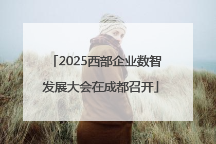 2025西部企业数智发展大会在成都召开