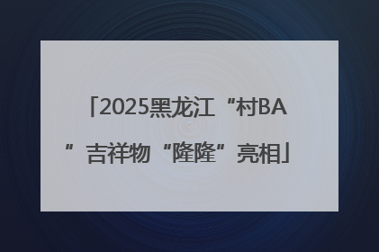 2025黑龙江“村BA”吉祥物“隆隆”亮相