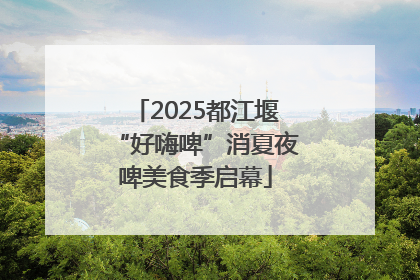 2025都江堰“好嗨啤”消夏夜啤美食季启幕