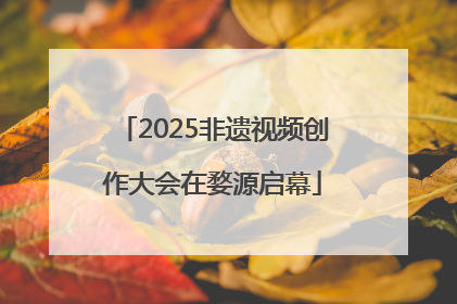 2025非遗视频创作大会在婺源启幕
