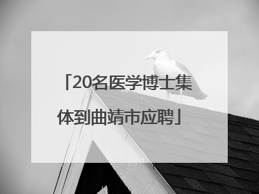 20名医学博士集体到曲靖市应聘
