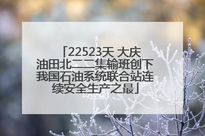 22523天 大庆油田北二二集输班创下我国石油系统联合站连续安全生产之最